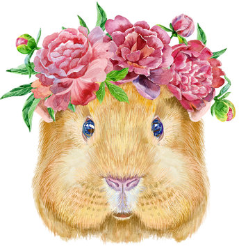 Watercolor portrait of Self guinea pig with flowers on white background