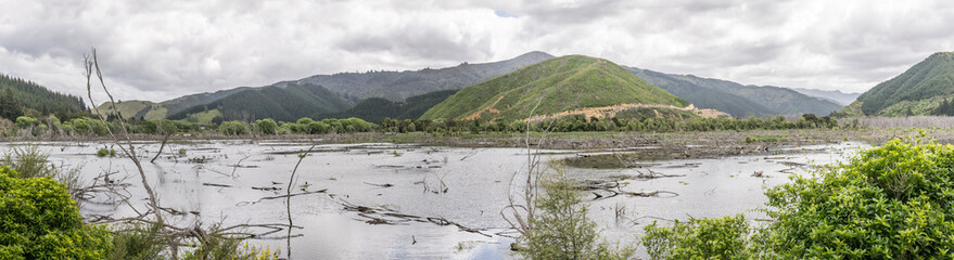 water and vegetation at everglade in valley, near Picton, Marlborough, New Zealand