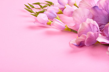 Naklejka na ściany i meble Decorative flowers on pink background composition.