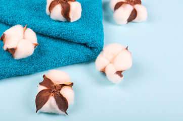 Spa concept idea, cotton and towel composition on blue background.