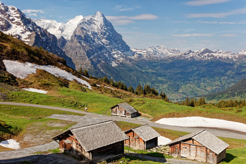 Views from Grosse Scheidegg towards Grindelwald