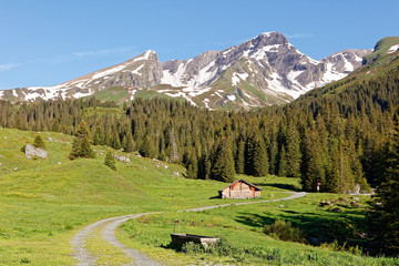 Fototapeta na wymiar Views of Schwarzhorn massif