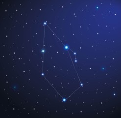 Obraz na płótnie Canvas Constellation Bootes