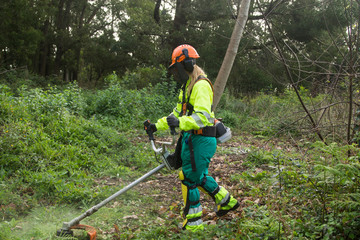 Forestry worker