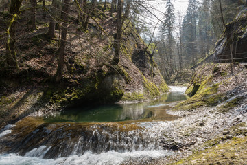 Small waterfall in the Eistobel, a gorge in Algäu, with forest and trees in the surroundings. 