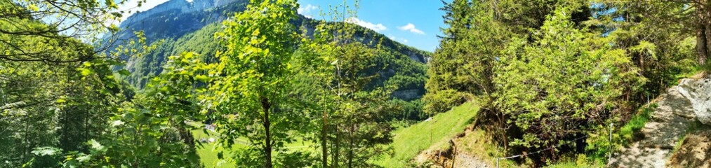 spring in the mountains