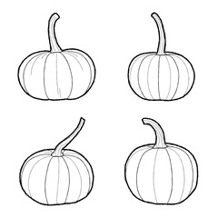Pumpkins Vector Illustration Hand Drawn Vegetable Cartoon Art