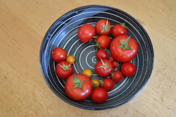 Keramikschale mit reifen Tomaten