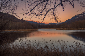 Italian lake and trees on sunset, montains with snow on background