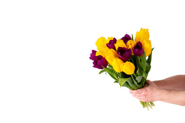 Men hands with yellow and purple tulips bouquet on white. Springtime