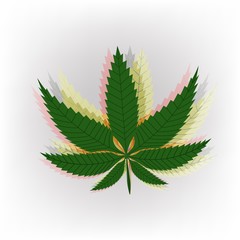 banner for legalize marijuana with colorful cannabis leaf. Natural product of organic hemp.