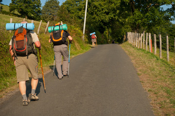 Grupo de peregrinos ascendiendo por carretera rural desde Saint Jean Pied de Port a Honto, en el Camino de Santiago Franc&eacute;s.