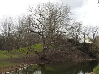 Lanschaft im Fr&uuml;hling