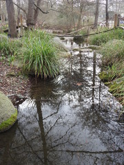 Bachlauf im Februar Winter Landschft