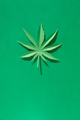 Cannabis leaf made of paper on green background