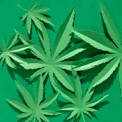 Cannabis leaf made of paper on green background