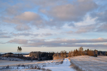 Snowy country road on a cloudy winter day with some trees in the background