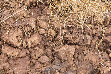 Close up of farm manure mixed with straw