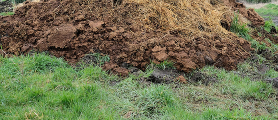 Heap of farm manure