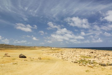 Fototapeta na wymiar Natural beauty of Aruba. North coast. Amazing desert landscape and blue ocean. 