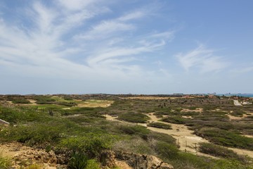 Fototapeta na wymiar Natural beauty of Aruba. North coast Aruba Island. Amazing natural landscape and blue sky. 