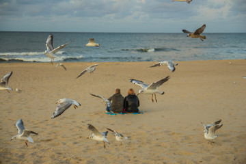 białe mewy ptaki na plaży nad morzem © Tymoteusz