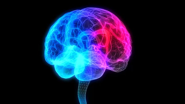 Rotating human brain. Glowing blue light line of human brain model. Seamless looping motion animated neurons in 3d virtual space.
