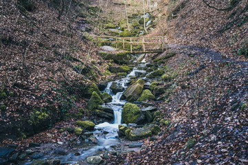 Wild waterfall and bridge in forest
