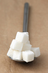 White sugar cubes in spoon