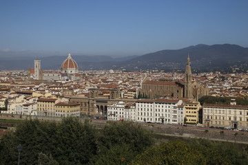 Fototapeta na wymiar Archotectonic heritage in Firenze, Italy