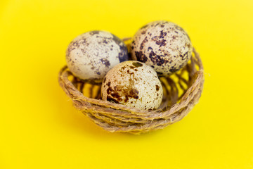 Naklejka na ściany i meble Quail eggs in bird's nest on yellow background