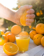 male hand squeezes juice from half orange into glass on table in garden