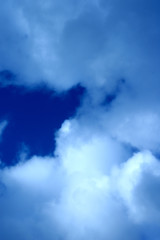 雲に願いを