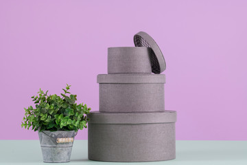 Pile of round boxes with a plant
