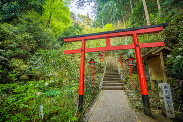 Fototapeta na wymiar Red gate in Japanese temple