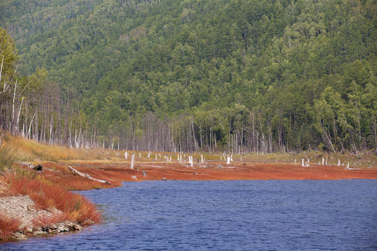 Beautiful landscape. Zeya reservoir, Amur region. The picturesque shore of the lake, covered with green vegetation.