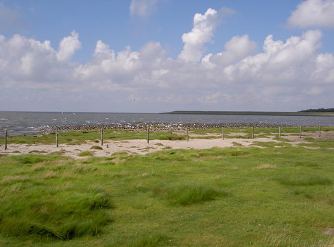 Deichlandschaft