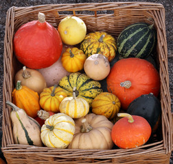 Basket of Autumn vegetables