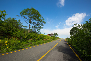 Fototapeta na wymiar asphalt yellow lane mountain road and green landscape
