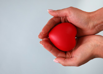 Close-up of tender female hands holding bright red heart. Transplantology, healthcare and cardiology concept. Isolated on blue background. Empty copy space
