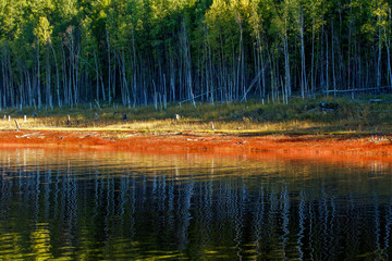 Fototapete bei efototapeten.de bestellen   