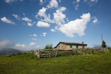 nature fresh herbs small village house (hut)