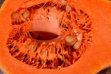 Close-up of organic butternut squash cut in half and contains seeds