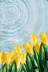 Beautiful spring background tulips with drops and highlights on the water. concept of freshness and crystal purity