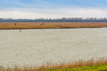 Nature park near Almere, Netherlands in winter