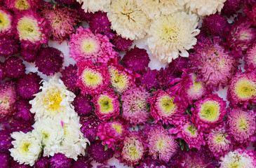 Closeup of colorful handmade decorative flowers as natural art background. 