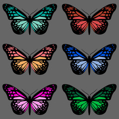 Seamless pattern with six colorful butterflies on grey background