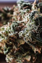 boom bud marijuana close up. trichomes are visible. Vertical orientation