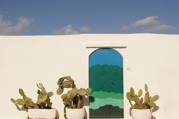 Blue and green door with cactus with traditional white walls and sky in Ostuni, Italy - The gorgeous white city with old historic center on the hill and beside the sea - obrazy, fototapety, plakaty