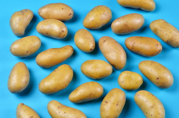 Potatoes on a blue colored background. Natural small potato, baby potatoes
